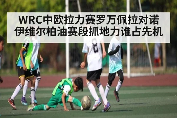 WRC中欧拉力赛罗万佩拉对诺伊维尔柏油赛段抓地力谁占先机